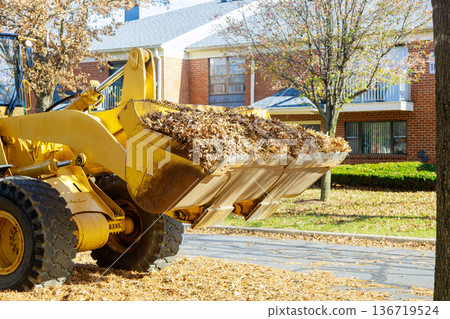 Loader removes leaves from street in residential area during fall season Loader removes leaves from street in residential area during fall season 136719524