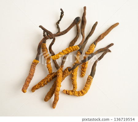 Cordyceps or Ophiocordyceps sinensis mushroom herb is fungus for used as medicine on white background. Cordyceps or Ophiocordyceps sinensis mushroom herb is fungus for used as medicine on white background. 136719554