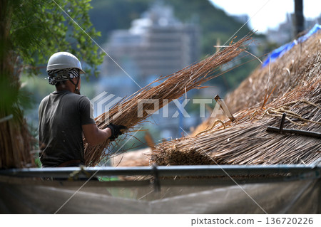 Thatched roof replacement work - Thatching craftsmen at work 136720226