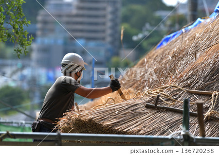 Thatched roof replacement work - Thatching craftsmen at work Thatched roof replacement work - Thatching craftsmen at work 136720238