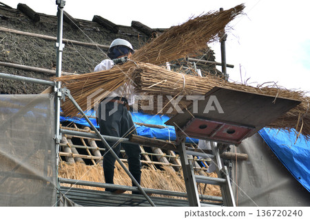 茅草屋頂更換工程-茅草工匠正在工作 茅草屋頂更換工程-茅草工匠正在工作 136720240