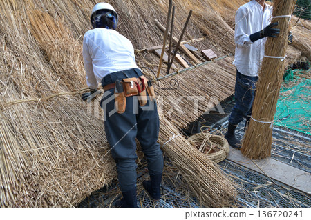 茅草屋頂更換工程-茅草工匠正在工作 茅草屋頂更換工程-茅草工匠正在工作 136720241
