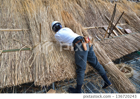 茅草屋頂更換工程－茅草工匠正在工作 136720243