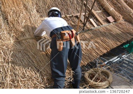 Thatched roof replacement work - Thatching craftsmen at work Thatched roof replacement work - Thatching craftsmen at work 136720247