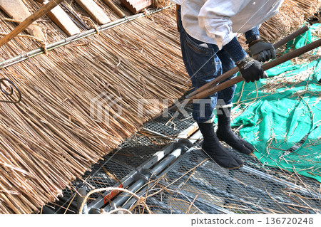 Thatched roof replacement work - Thatching craftsmen at work Thatched roof replacement work - Thatching craftsmen at work 136720248