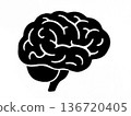 Brain silhouette 136720405
