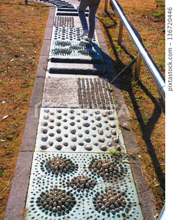 Various scenes from the Prefectural Health and Welfare Village in Kitagoya, Koshigaya City, Saitama Prefecture 136720446