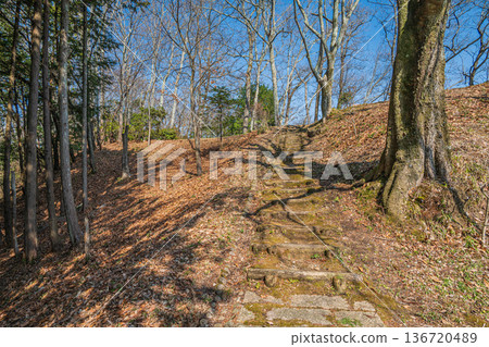 奈良縣國立飛鳥歷史公園岩戶地區的岩戶梯田 136720489