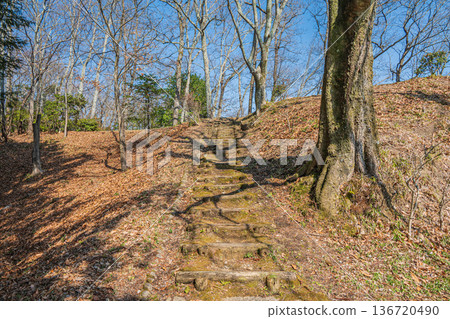 奈良縣國立飛鳥歷史公園岩戶地區的岩戶梯田 136720490