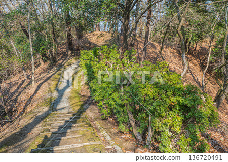 奈良縣國立飛鳥歷史公園岩戶地區的岩戶梯田 136720491