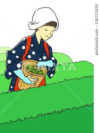 五月八十八夜,一位裝扮成少女的女子正在採茶葉。 五月八十八夜,一位裝扮成少女的女子正在採茶葉。 136721030