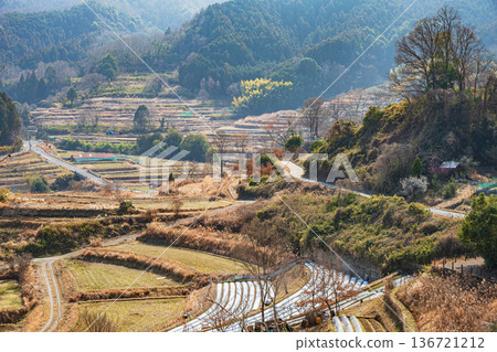 奈良縣國立飛鳥歷史公園岩戶地區的岩戶梯田 奈良縣國立飛鳥歷史公園岩戶地區的岩戶梯田 136721212