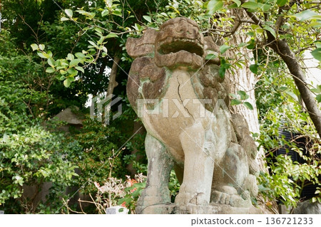 Gokiso Hachiman Shrine Agata Komainu Gokiso Hachiman Shrine Agata Komainu 136721233