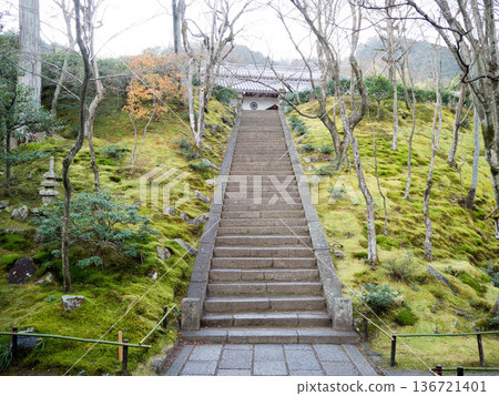 Jojakkoji Temple, Arashiyama, Kyoto 136721401
