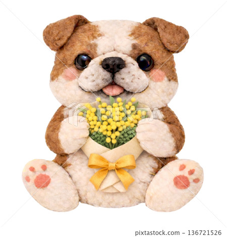 【國際婦女節】一隻鬥牛犬叼著一束毛氈風格的含羞草花束的插圖 136721526