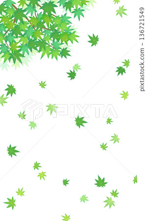 飄動的綠色楓木框架 3_垂直 136721549