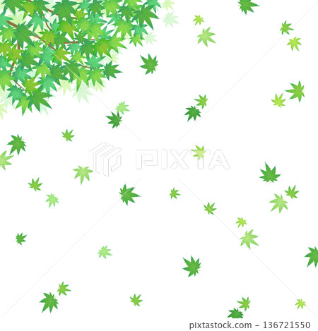 飄動的綠色楓木框架 3_square 136721550