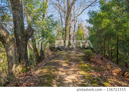 Asuka National Historic Park, Iwaido District, mountain path connecting the West and East Observation Decks, Nara Prefecture 136721555