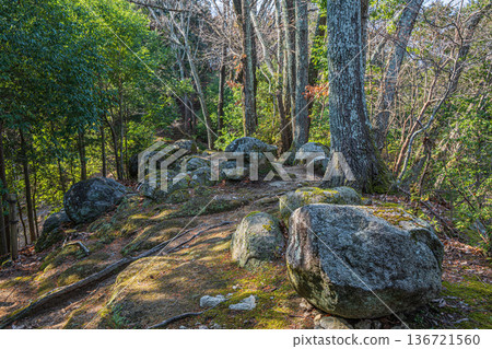 奈良縣飛鳥國立歷史公園岩井戶地區,連接東西展望台的山路 奈良縣飛鳥國立歷史公園岩井戶地區,連接東西展望台的山路 136721560