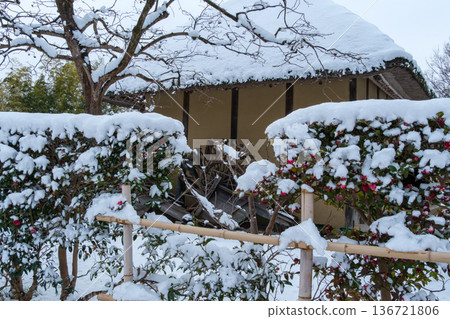 茅草屋頂和茶梅 136721806