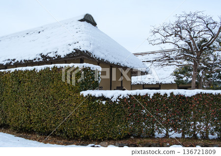 Thatch roof and hedge Thatch roof and hedge 136721809