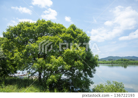 Bicycle path along the Geumgang River Bicycle path along the Geumgang River 136722193