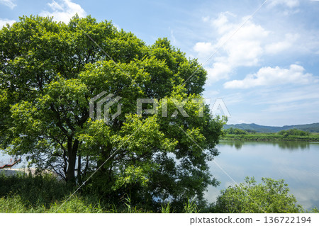 Bicycle path along the Geumgang River Bicycle path along the Geumgang River 136722194