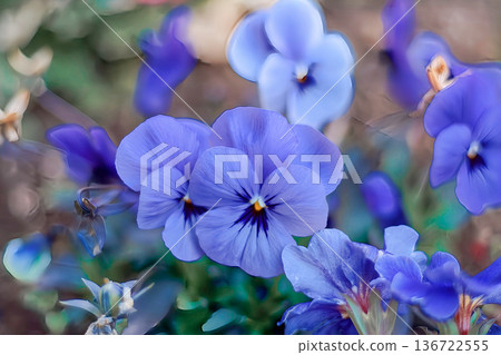春天的花朵 春天的花朵 136722555