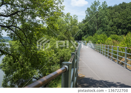 Bicycle path along the Geumgang River Bicycle path along the Geumgang River 136722708