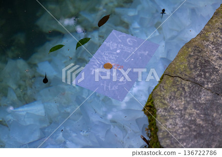 八重垣神社鏡之池中漂浮著算命紙和硬幣。 八重垣神社鏡之池中漂浮著算命紙和硬幣。 136722786