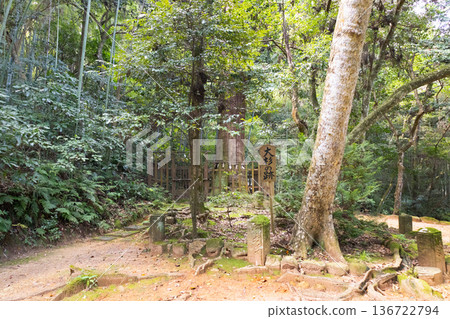 八重垣神社-佐久雨森林中一棵巨大杉樹的遺跡 八重垣神社-佐久雨森林中一棵巨大杉樹的遺跡 136722794