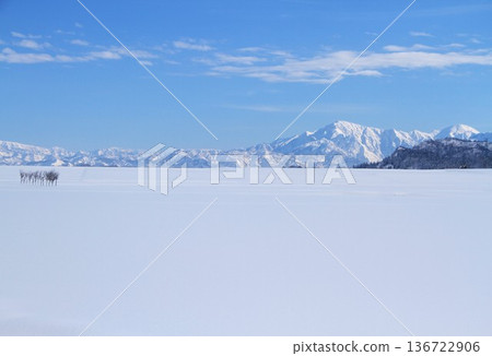 Snowy fields/Hasa trees/Snowy mountains Snowy fields/Hasa trees/Snowy mountains 136722906