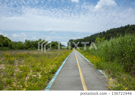 Bicycle path along the Geumgang River Bicycle path along the Geumgang River 136722946