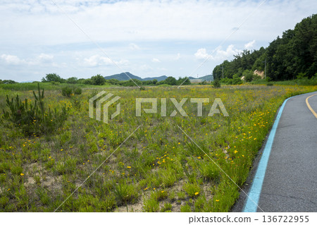 Bicycle path along the Geumgang River Bicycle path along the Geumgang River 136722955