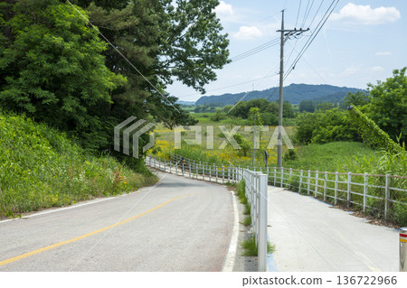 Bicycle path along the Geumgang River 136722966