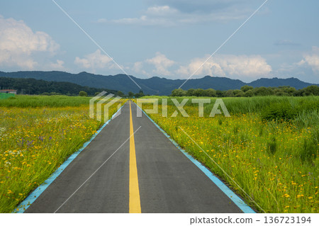 Bicycle path along the Geumgang River Bicycle path along the Geumgang River 136723194