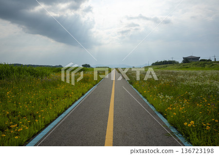 Bicycle path along the Geumgang River Bicycle path along the Geumgang River 136723198
