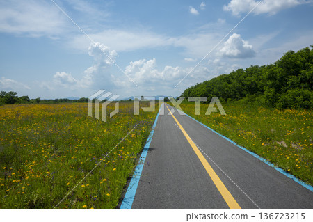 Bicycle path along the Geumgang River Bicycle path along the Geumgang River 136723215