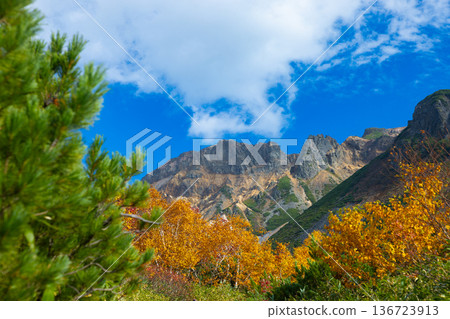 Hokkaido Biei Autumn 2025 - View from Ryounkaku - 05 136723913