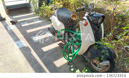 Abandoned rusty bike Abandoned rusty bike 136723918