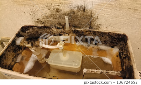Toilet with mold 136724652
