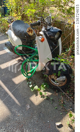 廢棄自行車遍佈的風景 廢棄自行車遍佈的風景 136724655