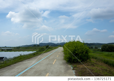 Bicycle path along the Geumgang River Bicycle path along the Geumgang River 136725171