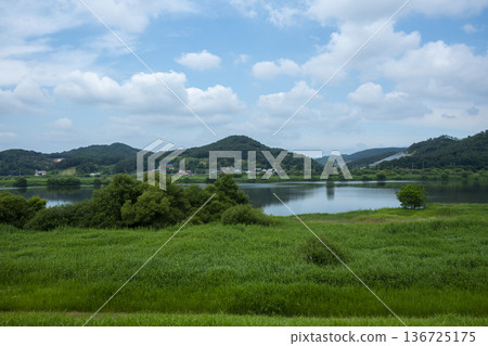 Bicycle path along the Geumgang River Bicycle path along the Geumgang River 136725175