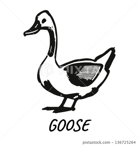 Simple black and white illustration of a goose with bold lines and minimalist design style 136725264
