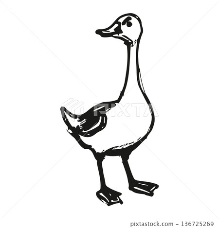 Simple black and white illustration of a cartoon duck standing on two legs facing left Simple black and white illustration of a cartoon duck standing on two legs facing left 136725269