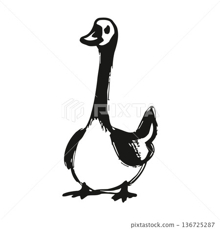 Simple black and white illustration of a duck with a long neck and webbed feet standing. Simple black and white illustration of a duck with a long neck and webbed feet standing. 136725287