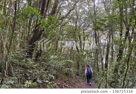 Teenager girl tourist hiking in Santa Elena Cloud Forest Reserve, Costa Rica Teenager girl tourist hiking in Santa Elena Cloud Forest Reserve, Costa Rica 136725338