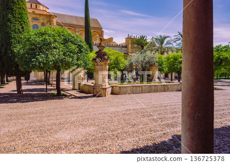 Spain, Cordoba, Mezquita courtyard Spain, Cordoba, Mezquita courtyard 136725378