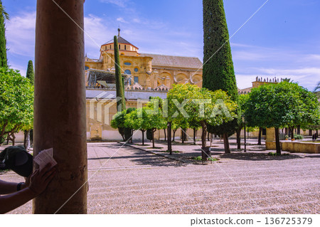 Spain, Cordoba, Mezquita courtyard against the blue sky 136725379